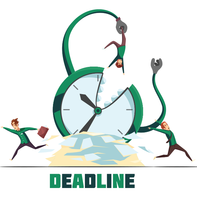 Assignment Editing Services